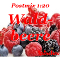 Waldbeere Link