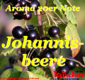 Schwarze-Johannisbeere Link