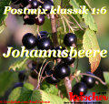 Schwarze-Johannisbeere Link